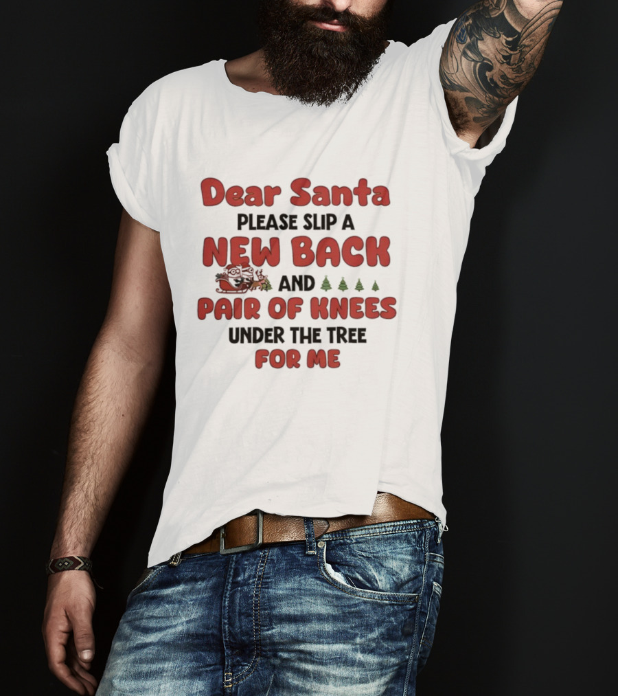Dear Santa Please Slip A New Back And Pair Of Knees Under The Tree For Me T-Shirt