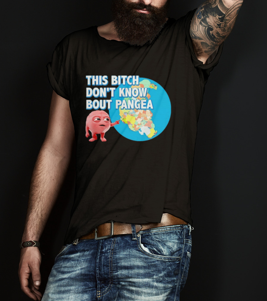 This Bitch Don't Know Bout Pangea Brain Meme Map T-Shirt