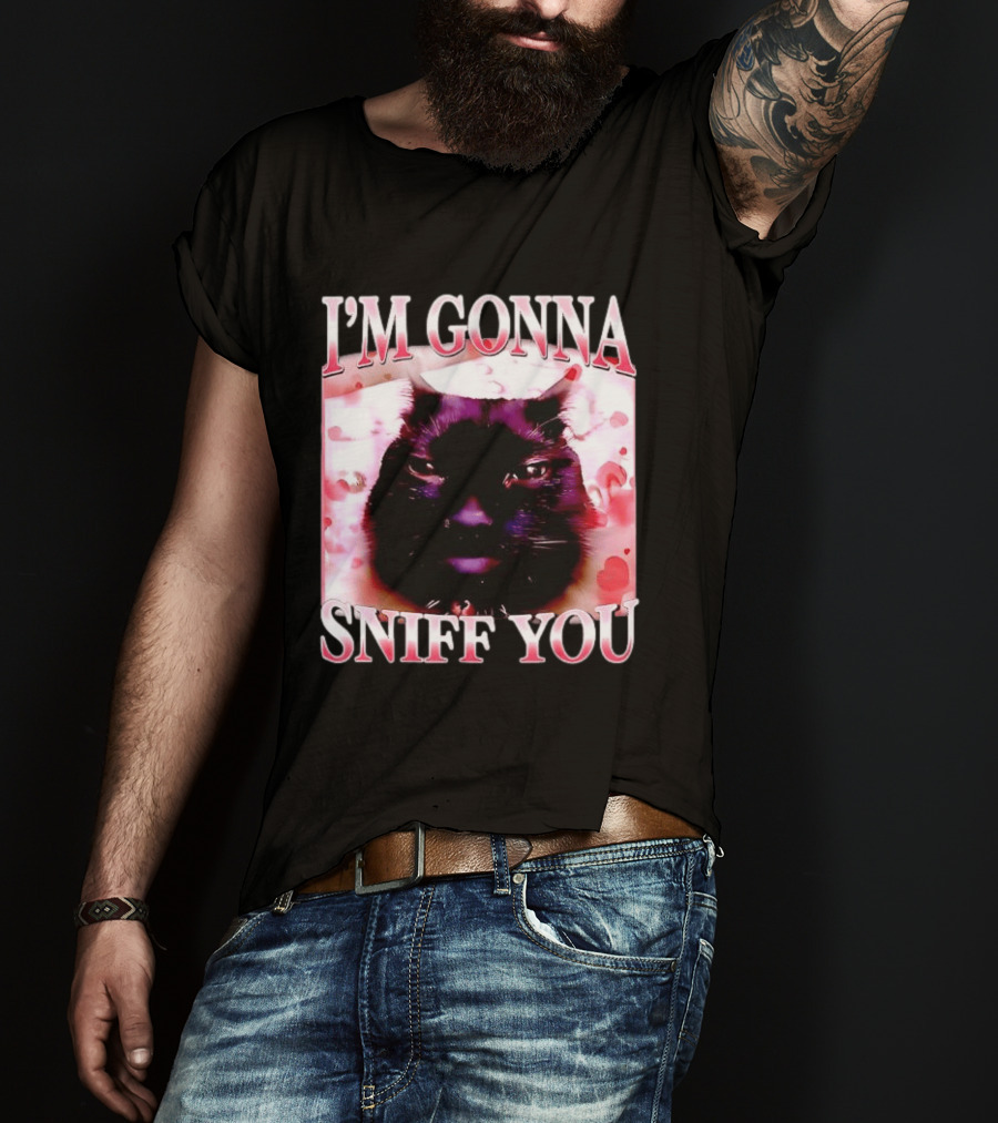 I'm Gonna Sniff You Cat Meme Valentine Aesthetic T-Shirt