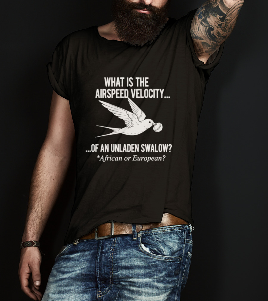 What Is The Airspeed Velocity Of An Unladen Swallow African Or European T-Shirt