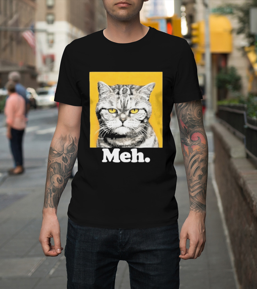 90 Day The Single Life Meh Cat T-Shirt