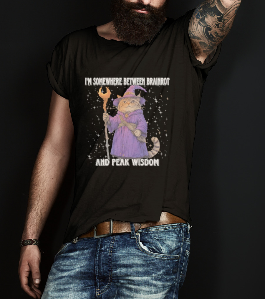 I'm Somewhere Between Brainrot And Peak Wisdom Cat Wizard T-Shirt