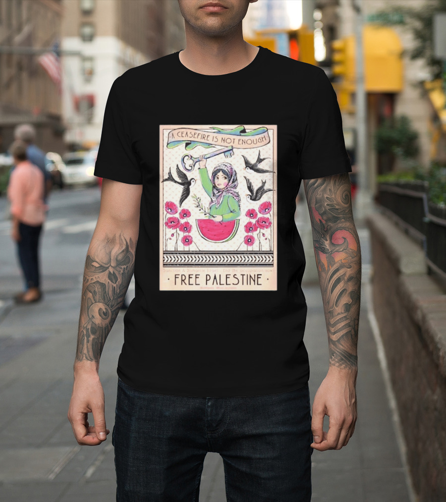A Ceasefire Is Not Enough Free Palestine Sanction And Dismantle Israel End The Occupation Now T-Shirt