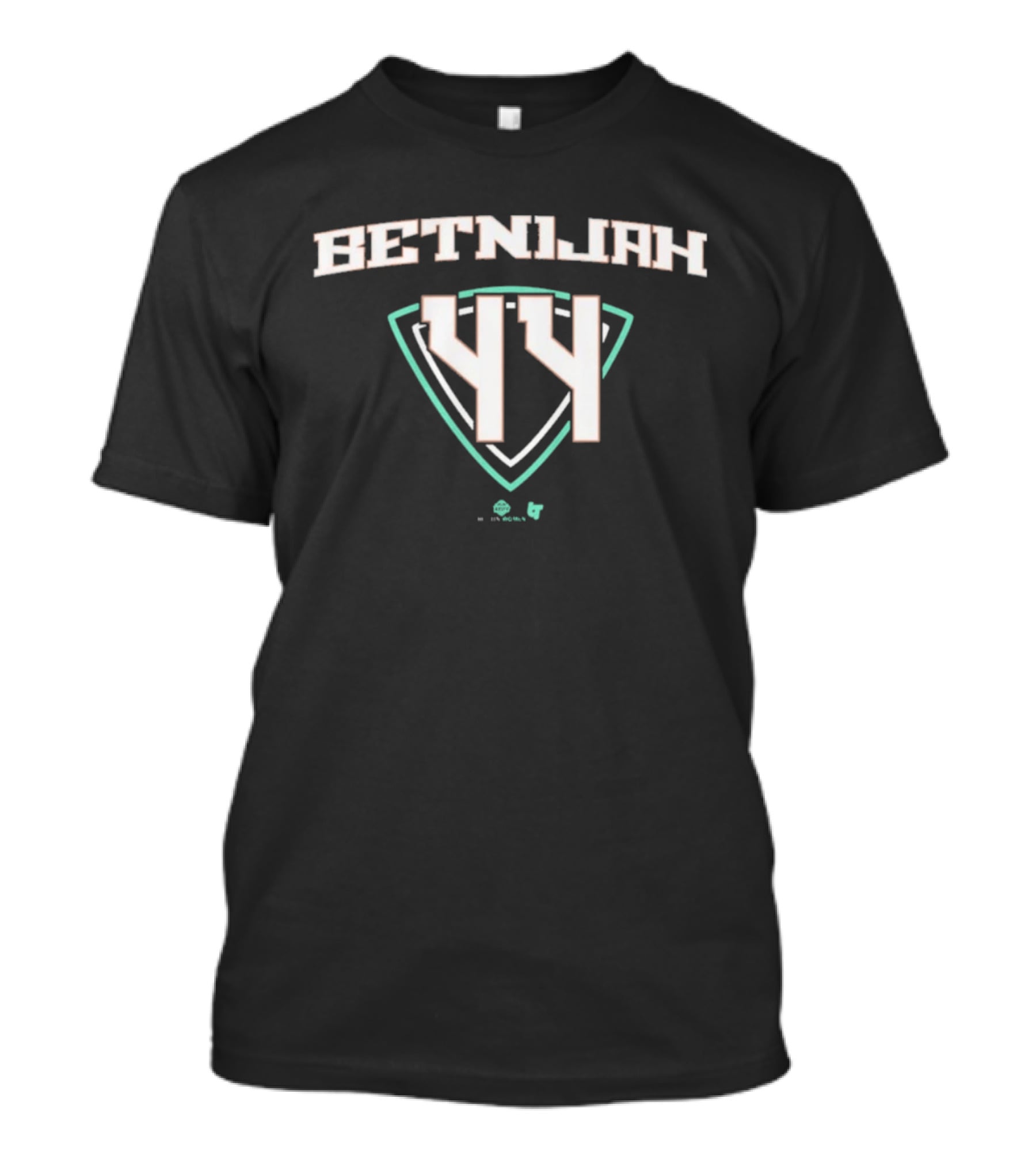 Betnijah Laney 44 Jersey Hamilton NY Basketball Fan T-Shirt