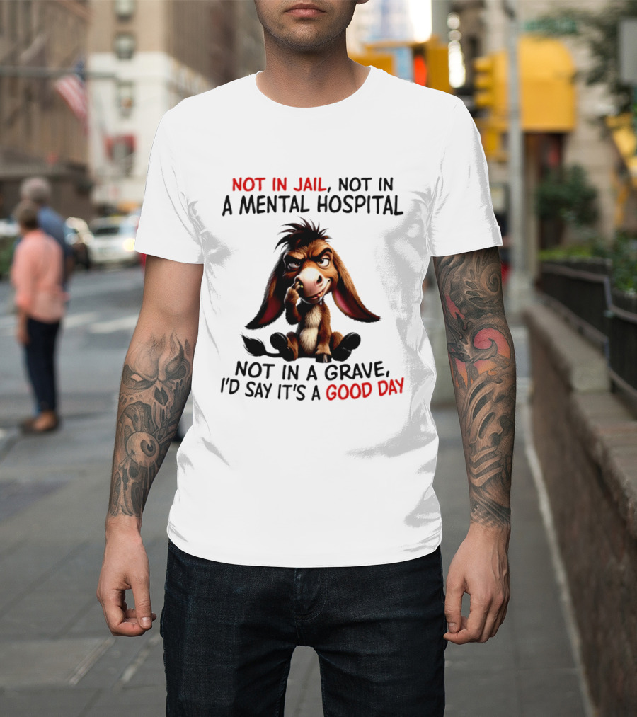 Donkey Not In Jail Not In A Mental Hospital Not In A Grave I'd Say It's A Good Day T-Shirt