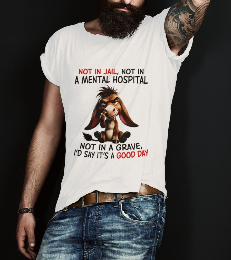 Donkey Not In Jail Not In A Mental Hospital Not In A Grave I'd Say It's A Good Day T-Shirt