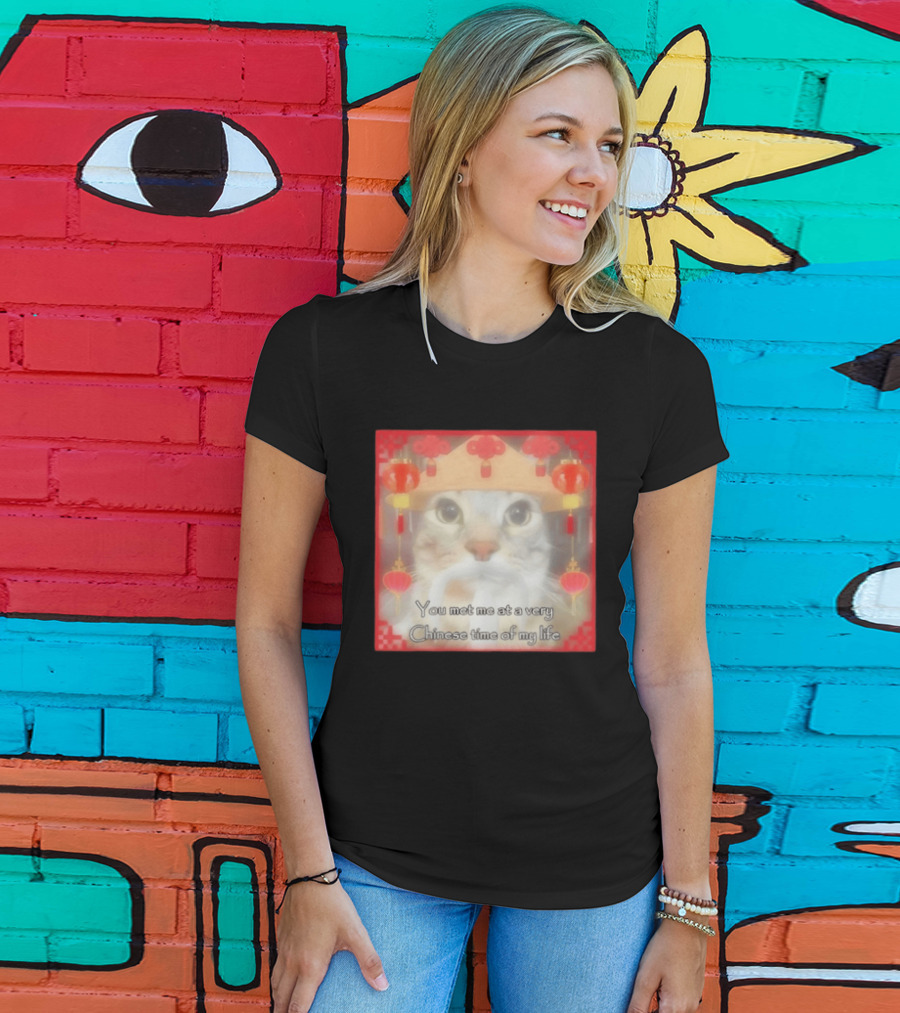 You Met Me At A Very Chinese Time Of My Life Cat Lanterns Hat T-Shirt