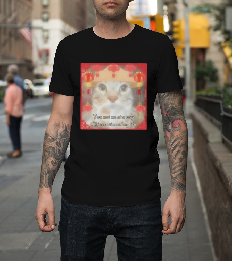 You Met Me At A Very Chinese Time Of My Life Cat Lanterns Hat T-Shirt