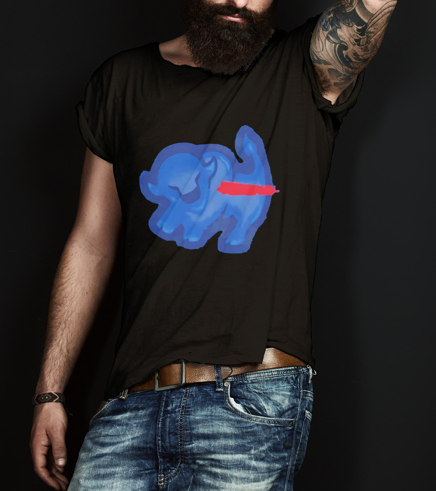 Bison King Buffalo Bills 2026 Football Team Spirit T-Shirt