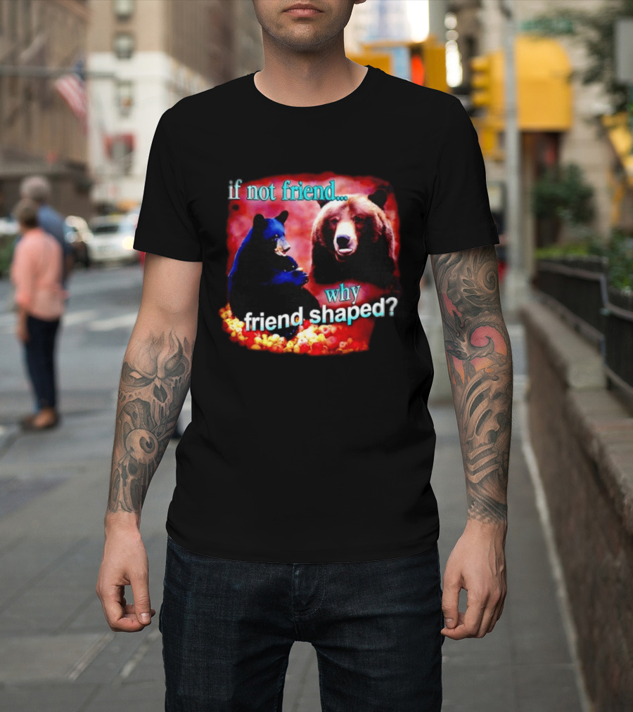 If Not Friend Why Friend Shaped Bear With Two Bears T-Shirt