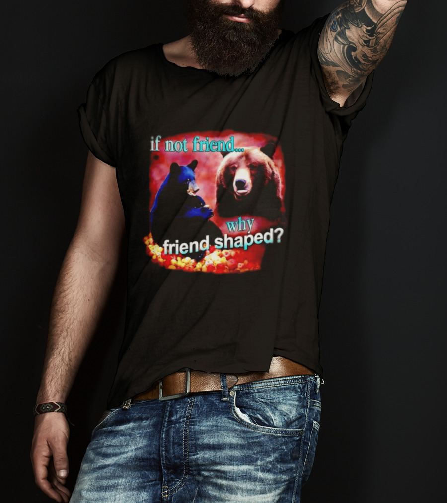 If Not Friend Why Friend Shaped Bear With Two Bears T-Shirt