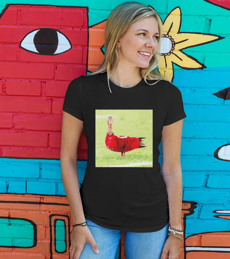 Tampa Bay Buccaneers Duck 2026 Football Fan T-Shirt