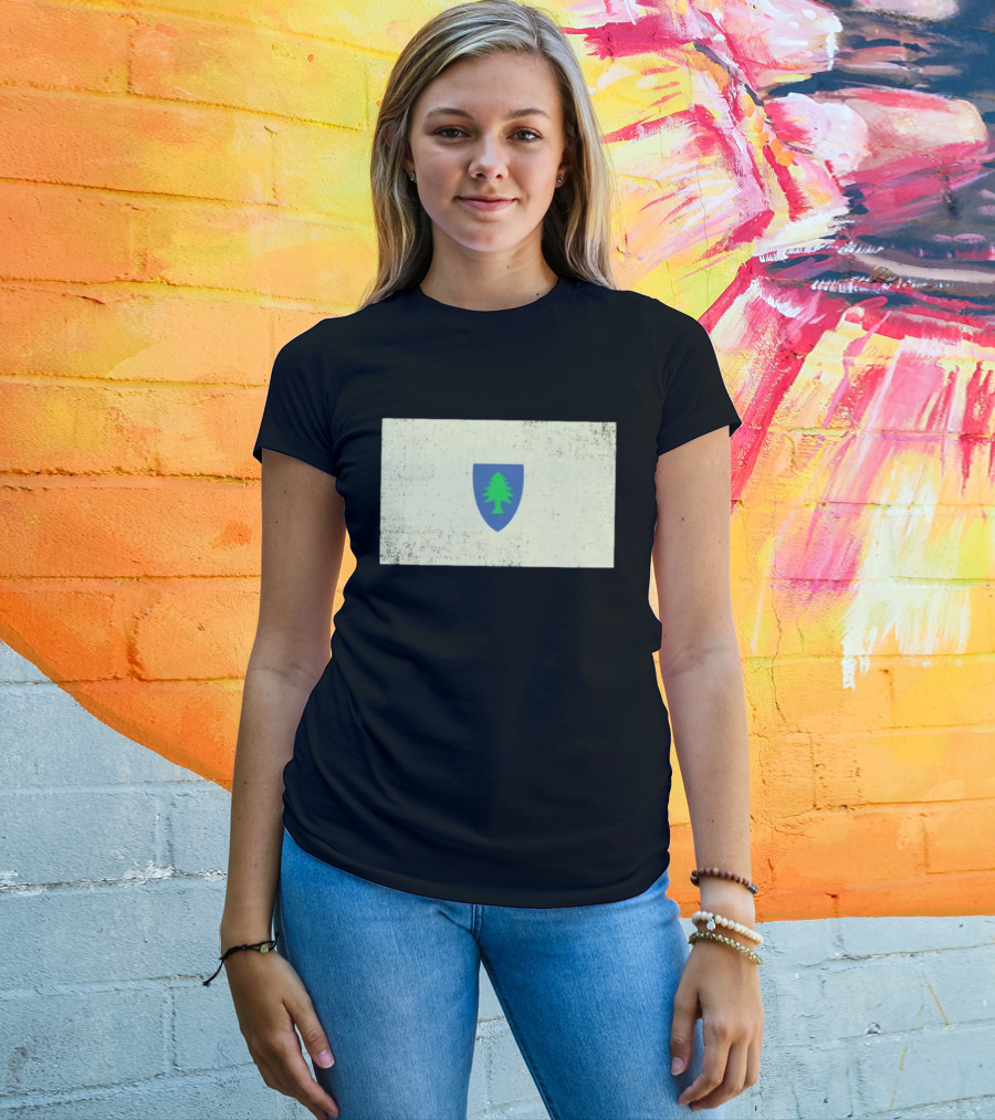 Massachusetts Flag Pine Tree Symbol On Vintage Shield T-Shirt