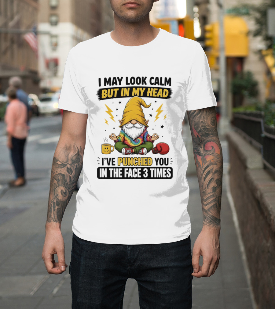 Gnome I May Look Calm But In My Head I've Punched You In The Face 3 Times T-Shirt