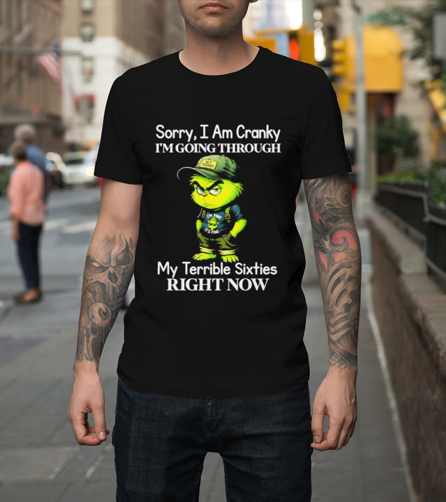 Sorry I Am Cranky I'm Going Through My Terrible Sixties Right Now T-Shirt