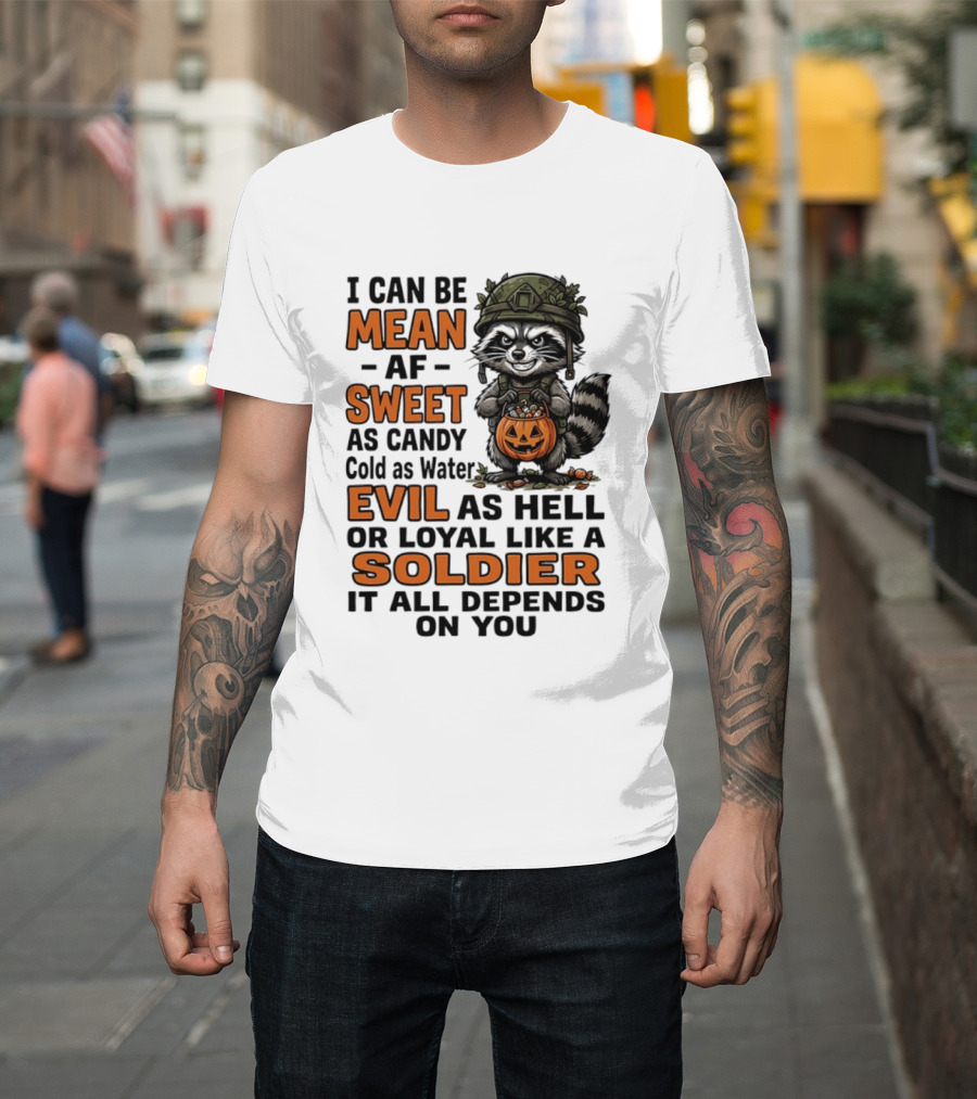 Raccoon I Can Be Mean AF Sweet As Candy Cold As Water Evil As Hell Or Loyal Like A Soldier It All Depends On You T-Shirt