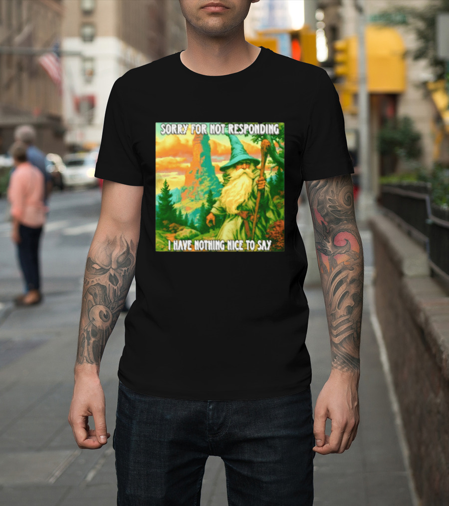 Sorry For Not Responding I Have Nothing Nice To Say Wizard Scene T-Shirt