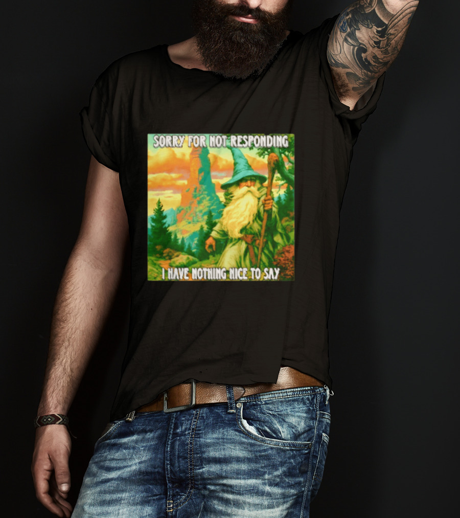 Sorry For Not Responding I Have Nothing Nice To Say Wizard Scene T-Shirt