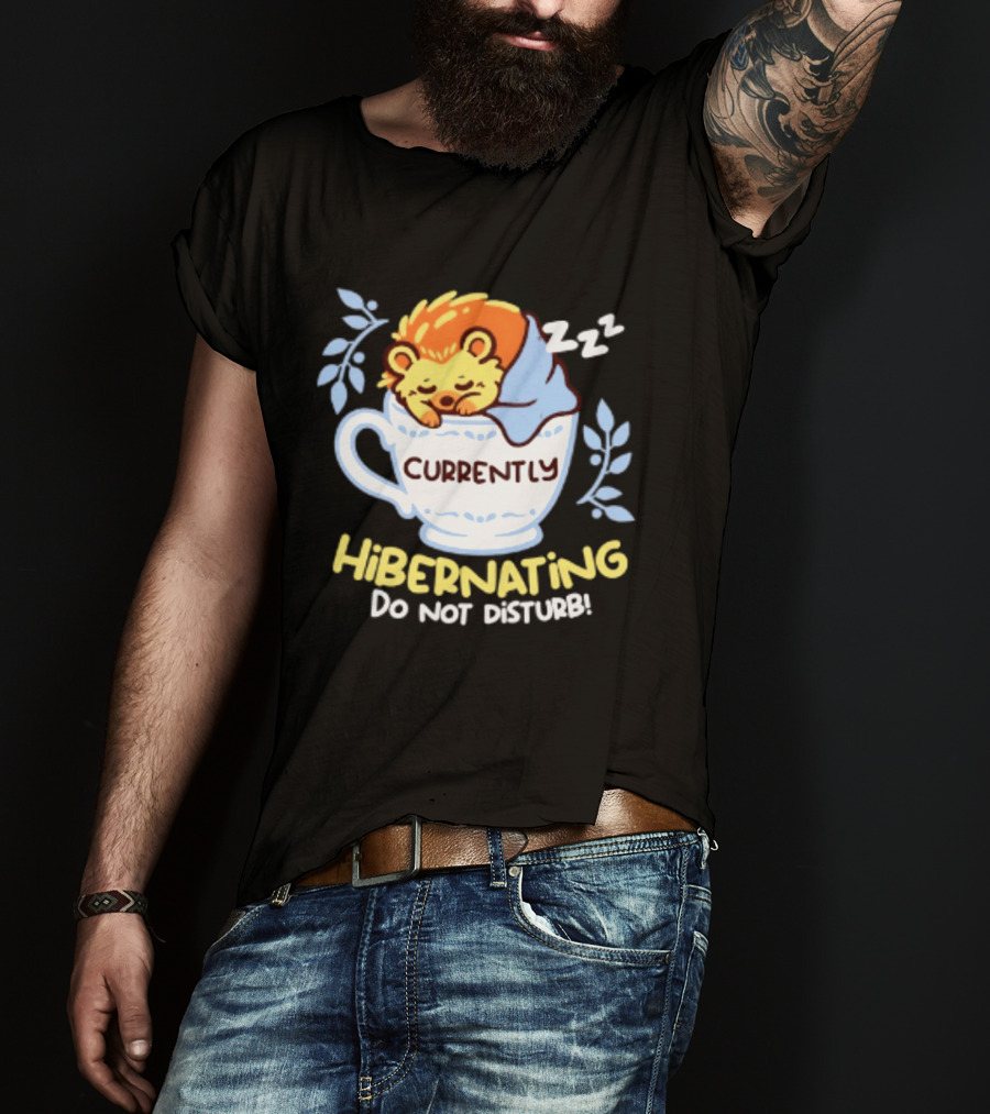 Currently Hibernating Do Not Disturb Hedgehog In Teacup Python T-Shirt