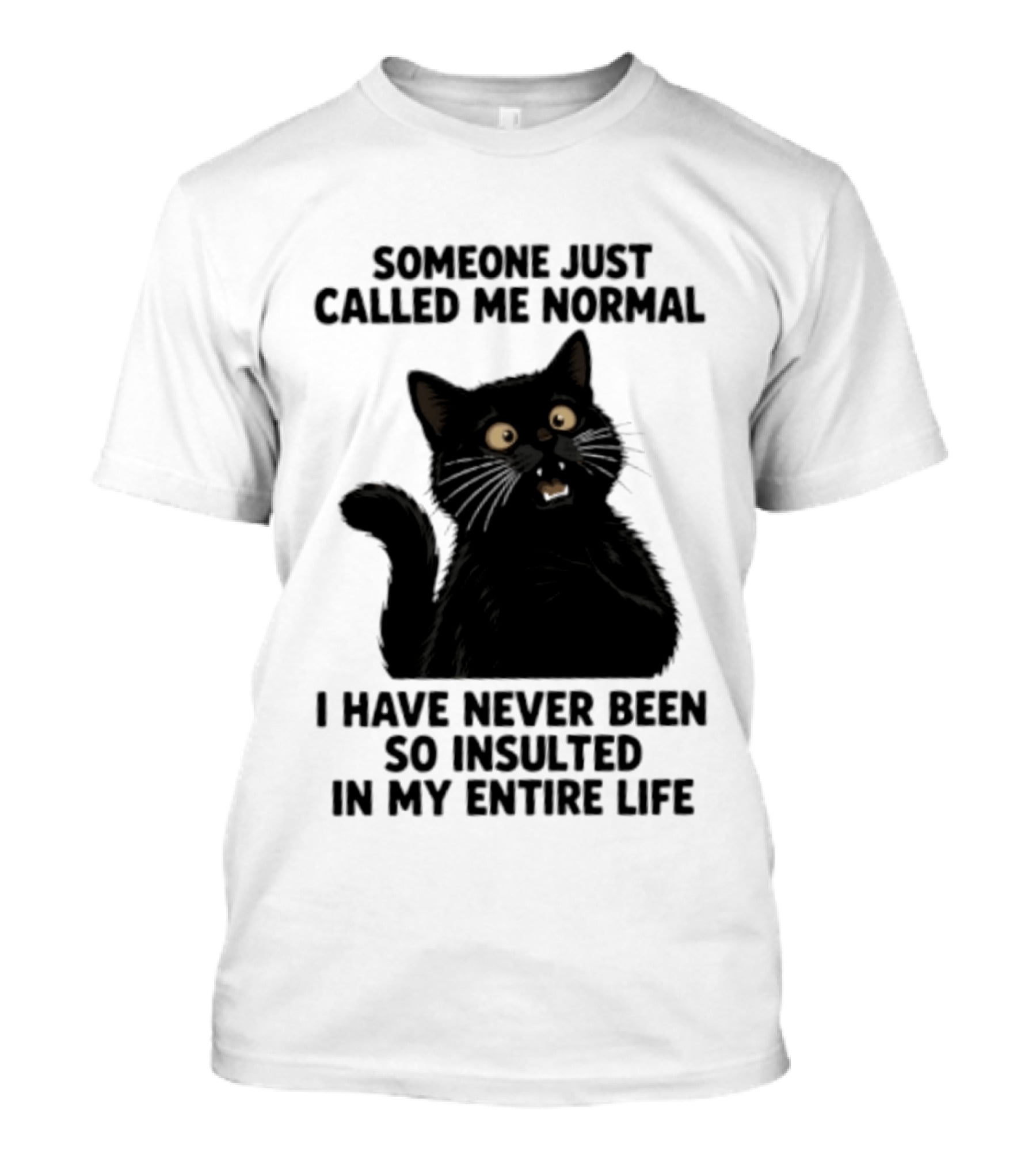Someone Just Called Me Normal Black Cat Humor Never Been So Insulted In My Entire Life T-Shirt