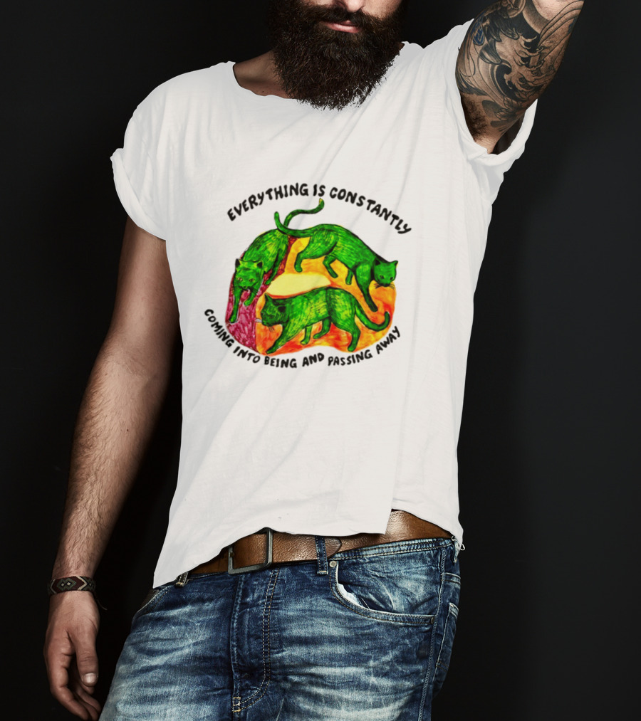 Everything Is Constantly Coming Into Being And Passing Away Cats Trio T-Shirt