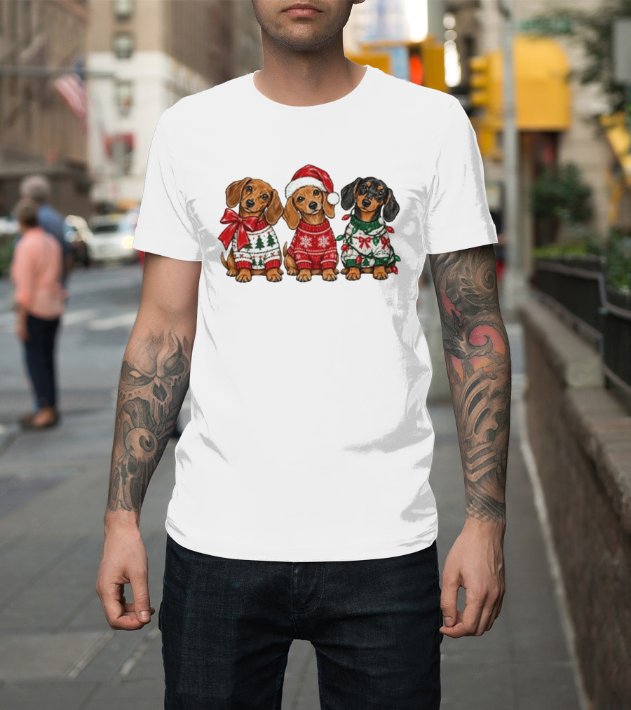 Cozy Christmas Dachshund Trio In Festive Sweaters With Santa Hat T-Shirt