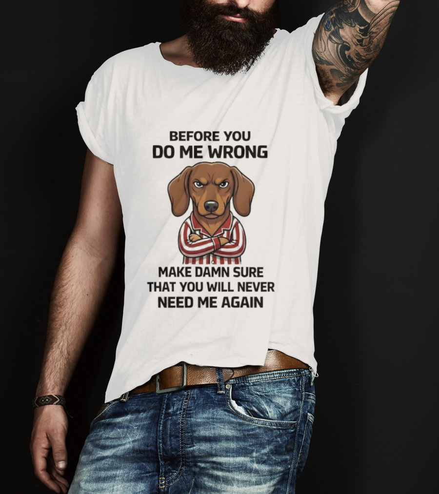 Grumpy Dog Before You Do Me Wrong Make Damn Sure You Will Never Need Me Again T-Shirt