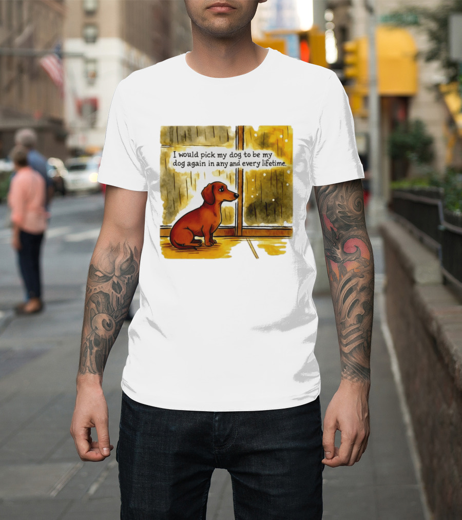 I Would Pick My Dog To Be My Dog Again In Any And Every Lifetime Dachshund By Window T-Shirt