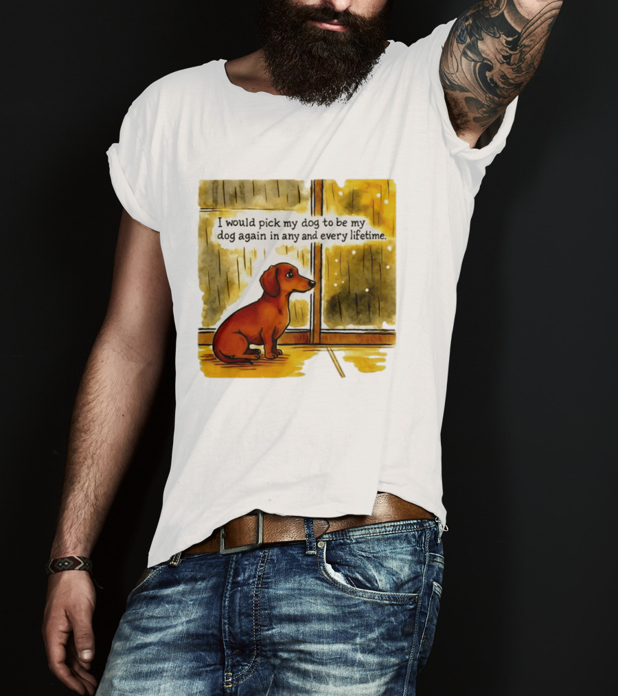 I Would Pick My Dog To Be My Dog Again In Any And Every Lifetime Dachshund By Window T-Shirt