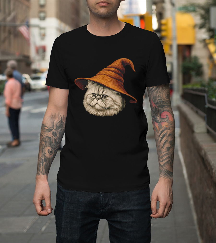 Beanie Cat Wizard Cartoon Plush Orange Hat Feline T-Shirt