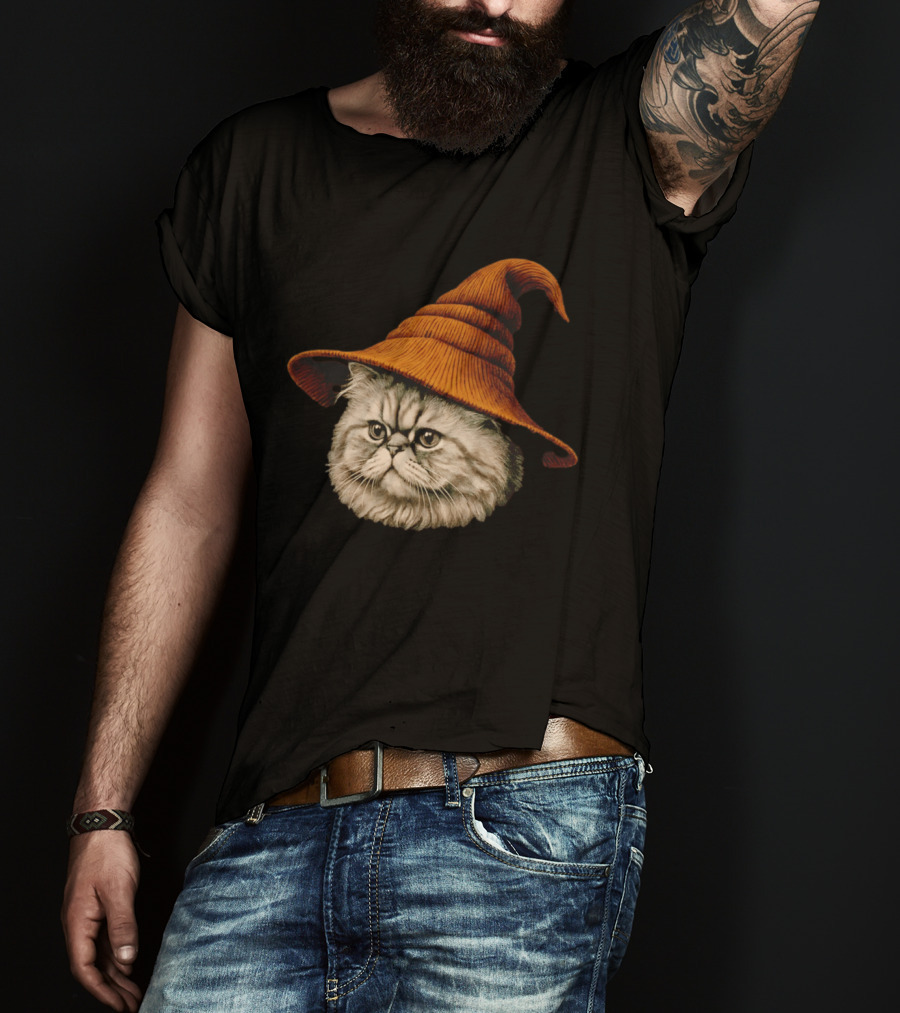 Beanie Cat Wizard Cartoon Plush Orange Hat Feline T-Shirt