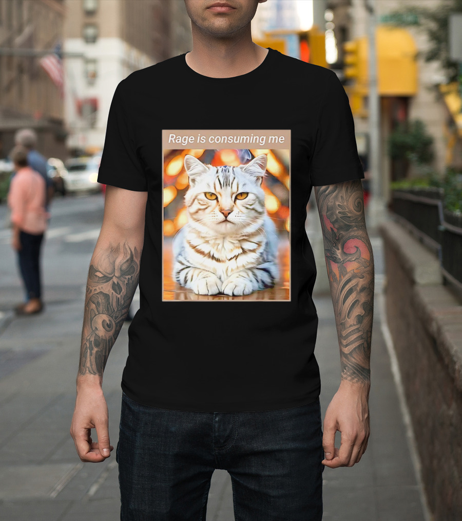 Cat Rage Is Consuming Me Meme Tiger Stripes T-Shirt