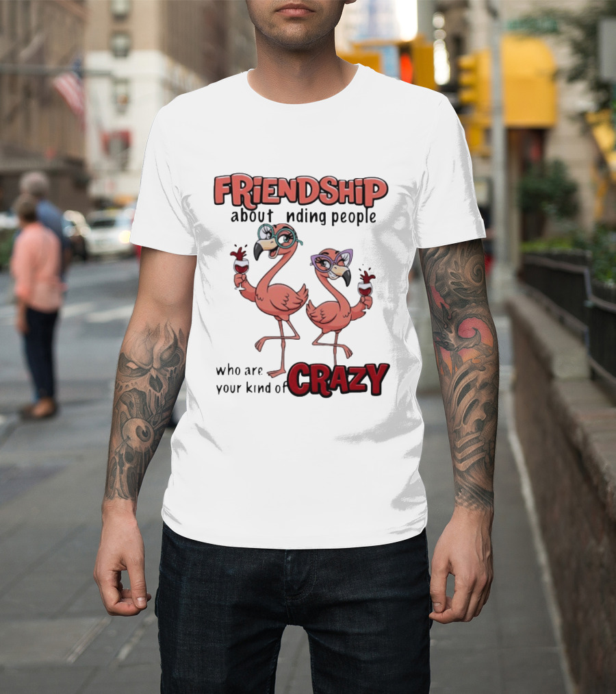 FRIENDSHIP About Finding People Who Are Your Kind Of CRAZY Flamingo Humor T-Shirt