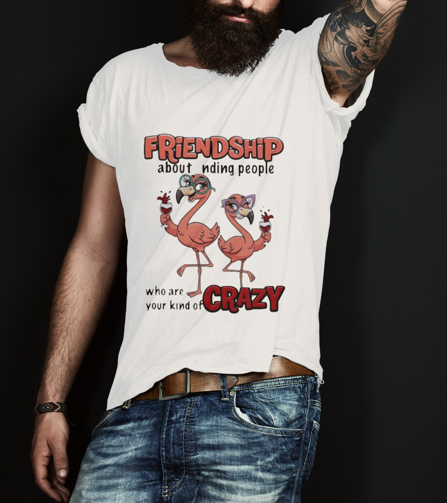 FRIENDSHIP About Finding People Who Are Your Kind Of CRAZY Flamingo Humor T-Shirt