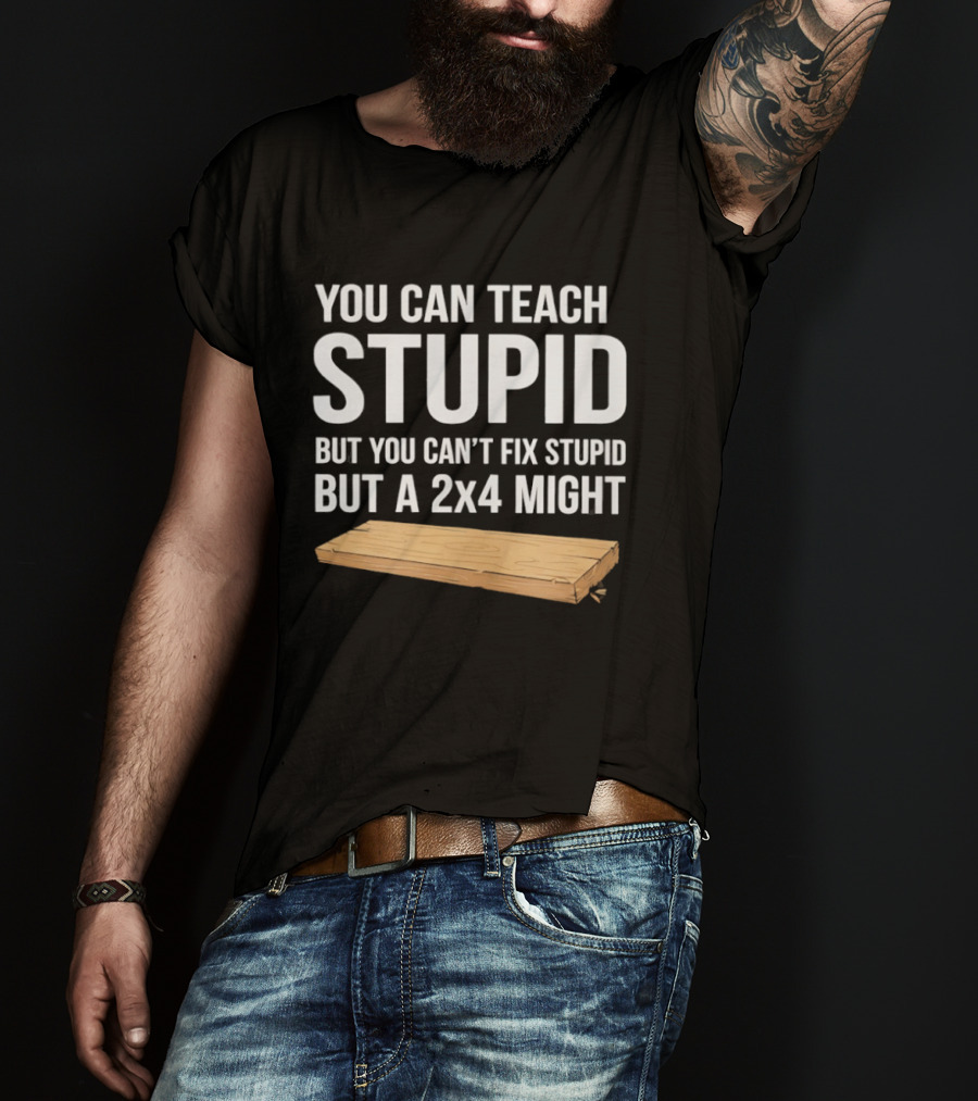You Can Teach Stupid But You Can't Fix Stupid But A 2x4 Might T-Shirt
