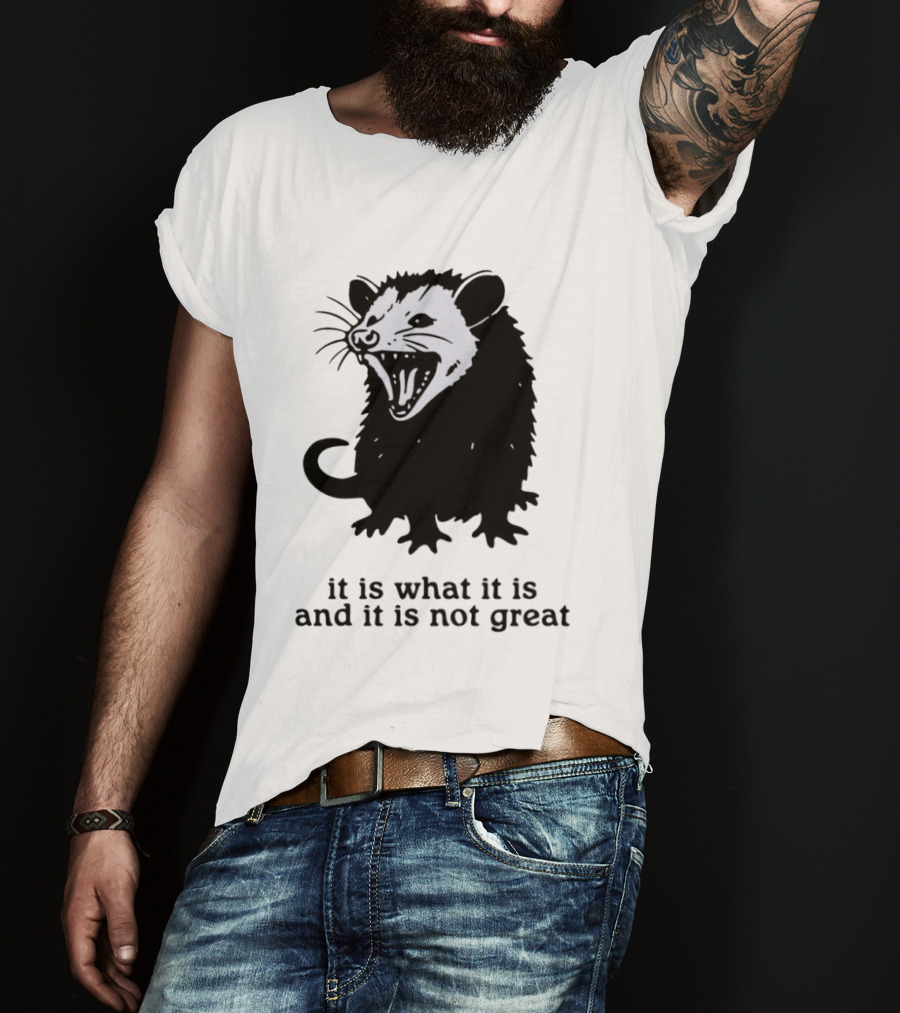 It Is What It Is And It Is Not Great Opossum T-Shirt