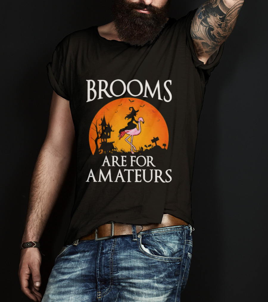 Brooms Are For Amateurs Flamingo Witch Halloween T-Shirt