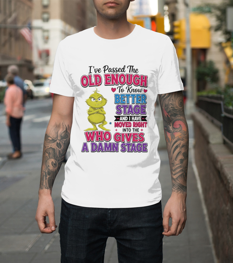 Passed The Old Enough To Know Better Moved Right Into The Who Gives A Damn Stage T-Shirt