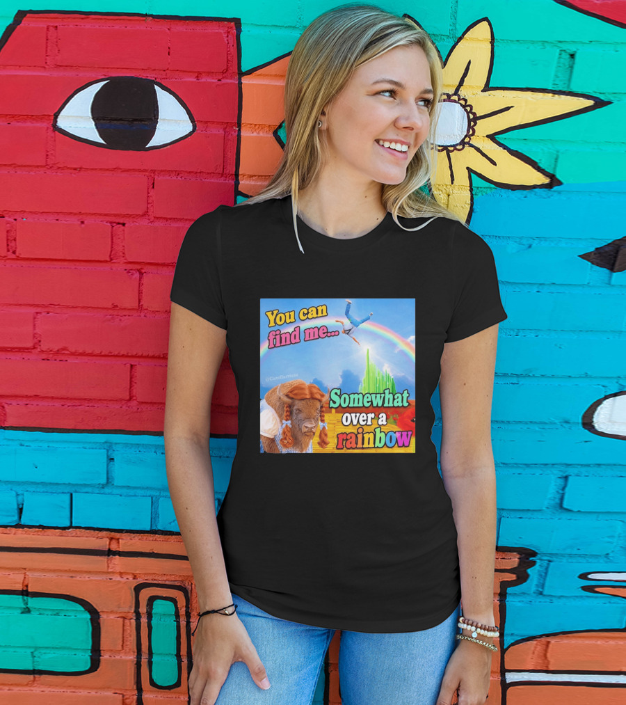 You Can Find Me Somewhat Over A Rainbow Bison Meme T-Shirt