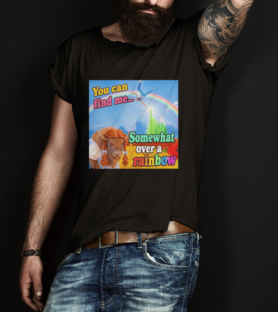 You Can Find Me Somewhat Over A Rainbow Bison Meme T-Shirt