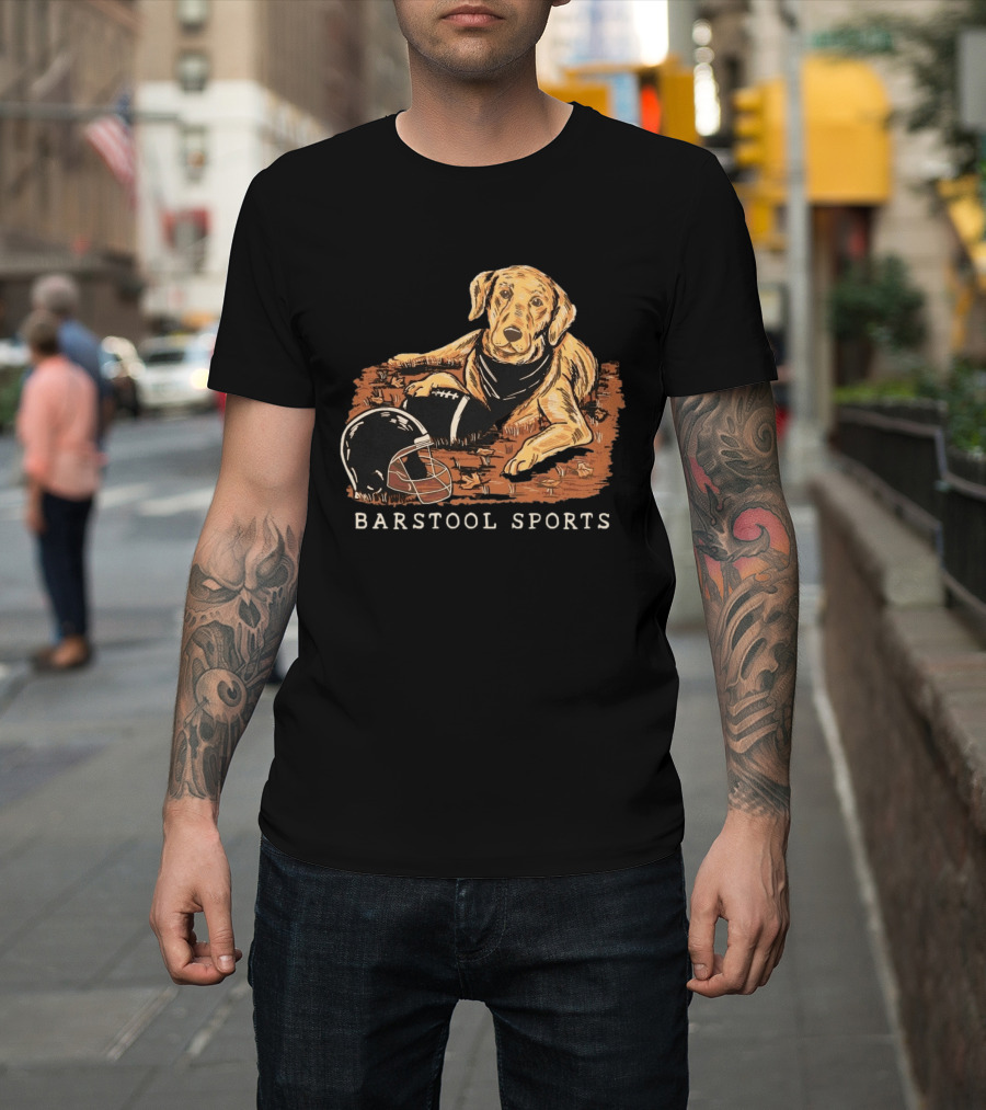 Barstool Sports Fall Football Dog With Helmet And Leaves T-Shirt