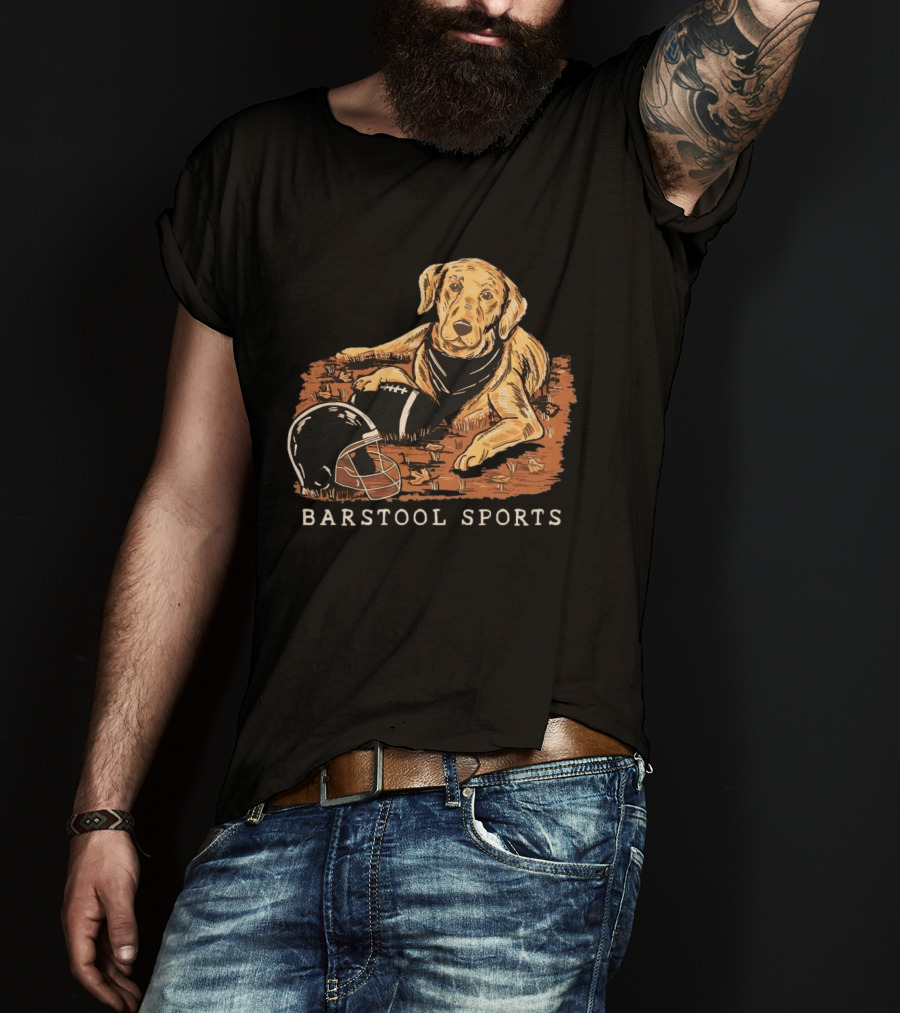 Barstool Sports Fall Football Dog With Helmet And Leaves T-Shirt
