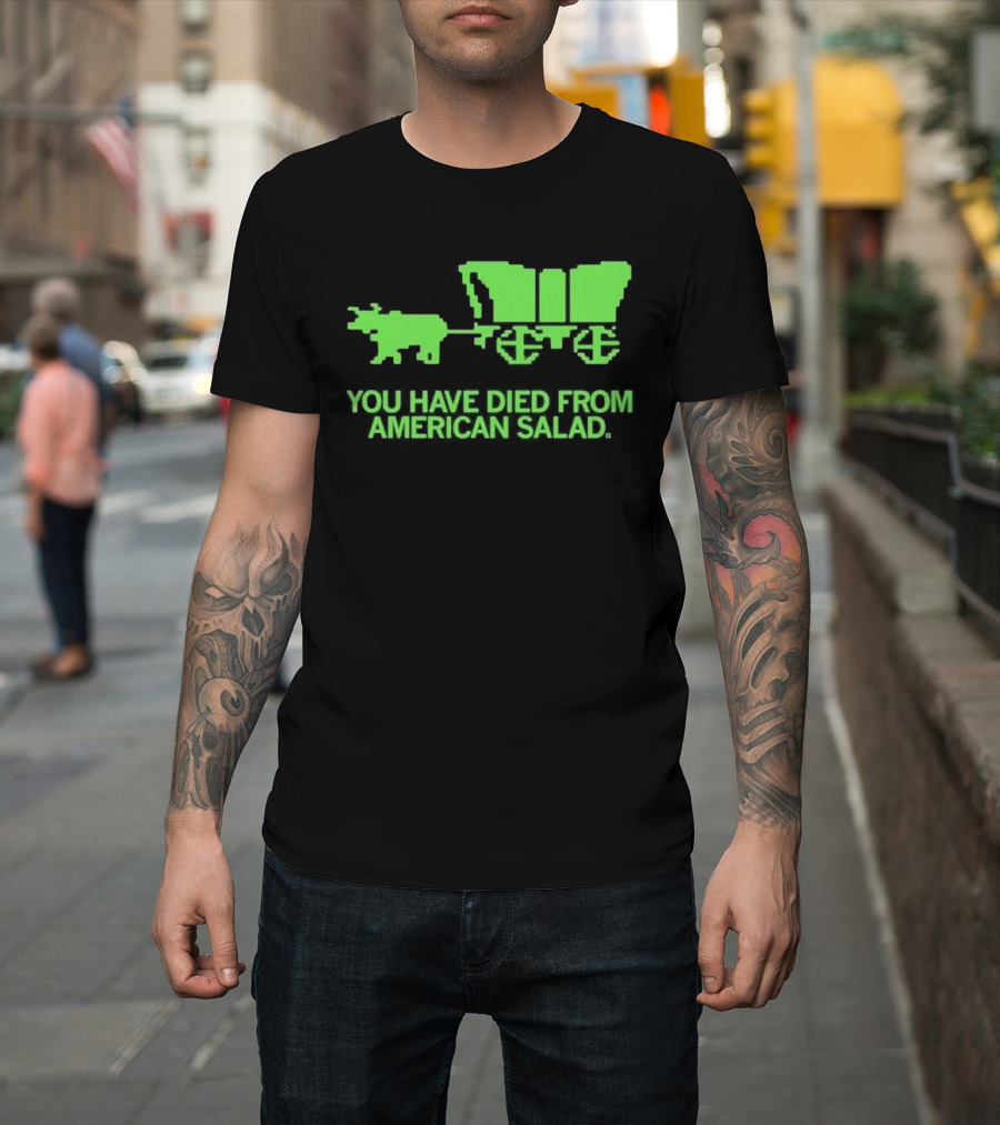 You Have Died From American Salad Ox Cart Retro Gaming Spoof T-Shirt