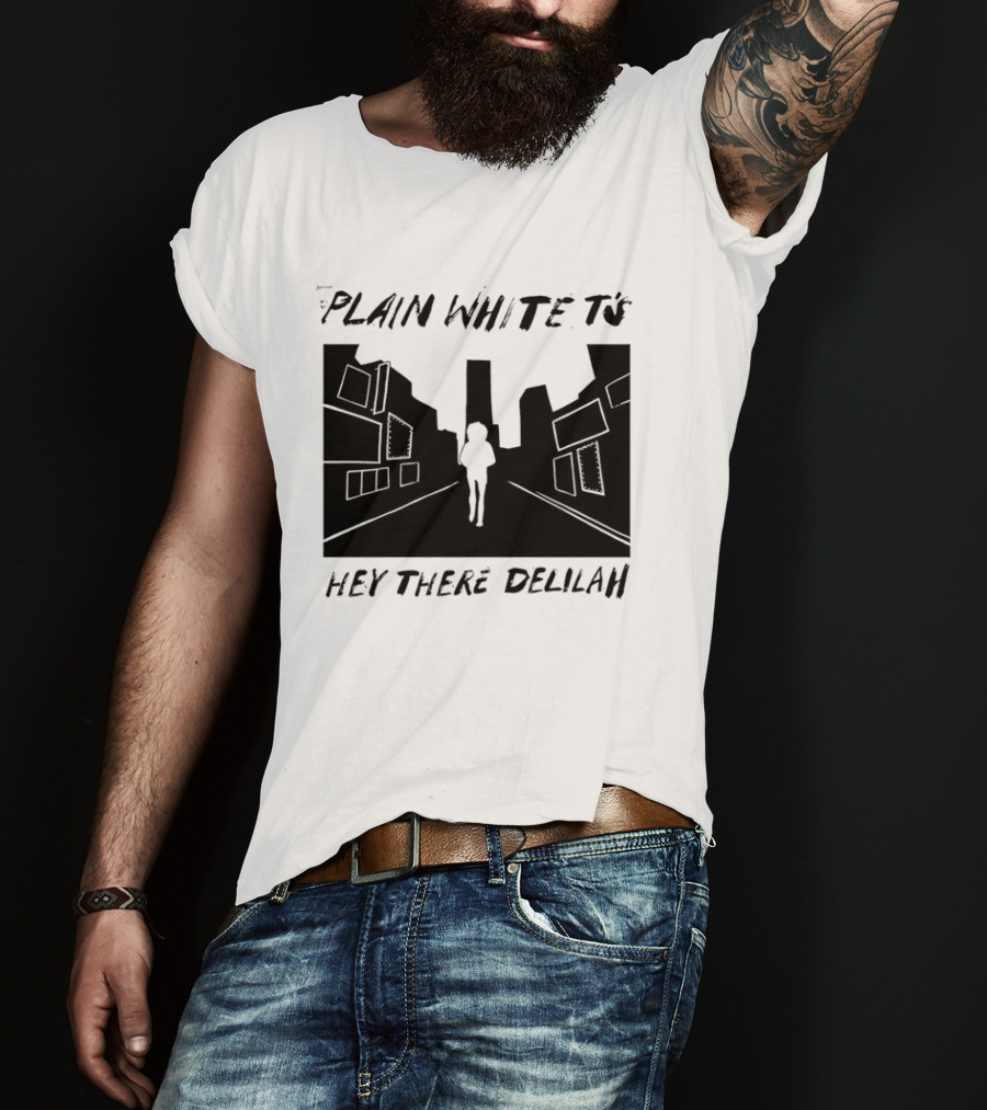 Plain White T's Hey There Delilah City T-Shirt