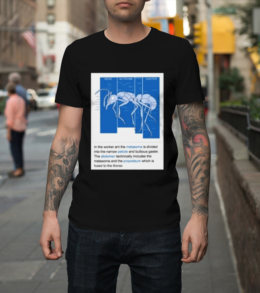 Head Alitrunk Gaster Metasoma Petiole Anatomy Of An Ant T-Shirt