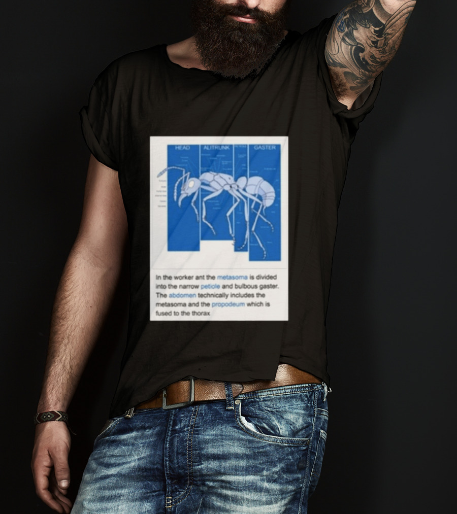 Head Alitrunk Gaster Metasoma Petiole Anatomy Of An Ant T-Shirt