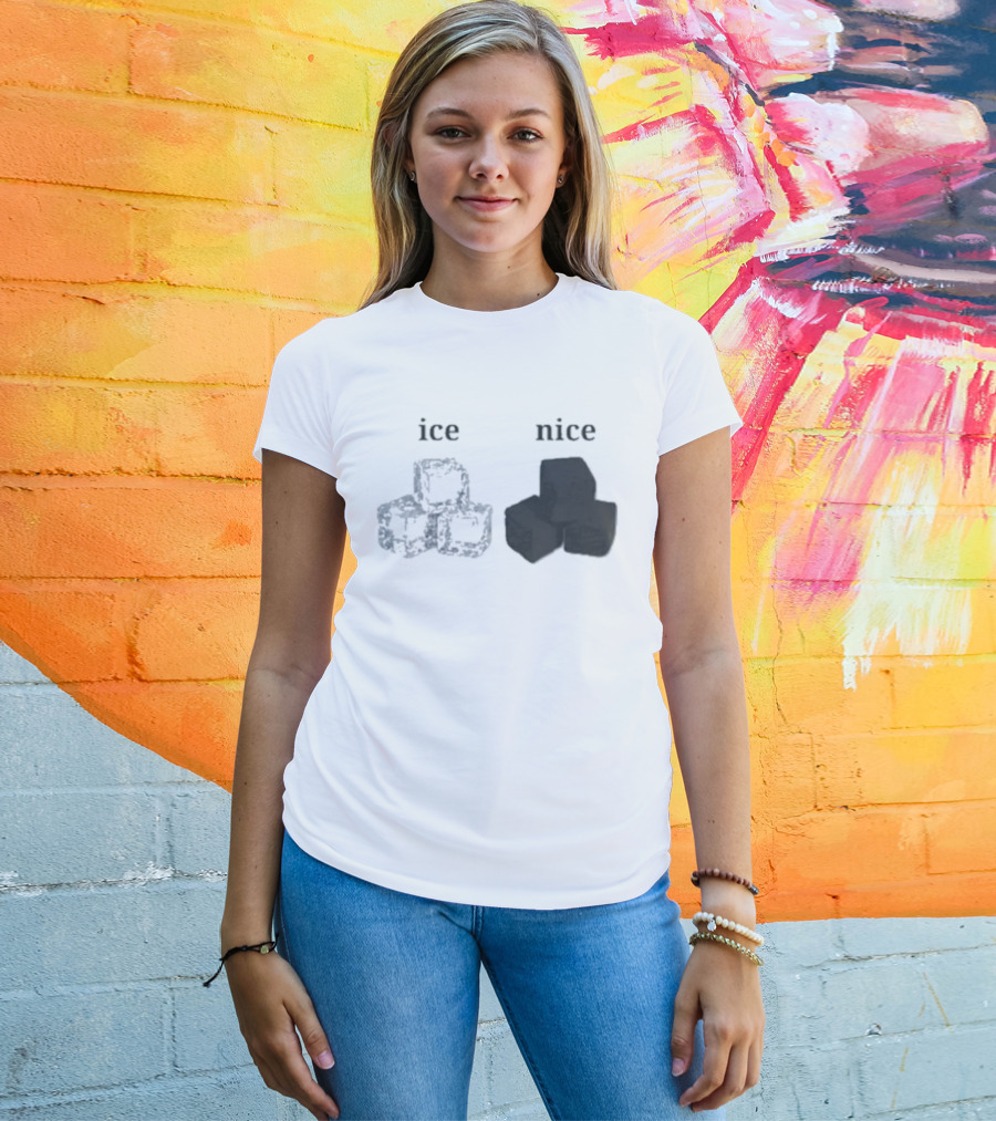 Ice Vs Nice Cubes Playful Word T-Shirt