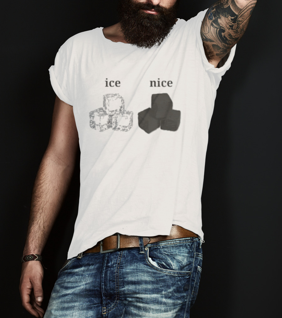 Ice Vs Nice Cubes Playful Word T-Shirt