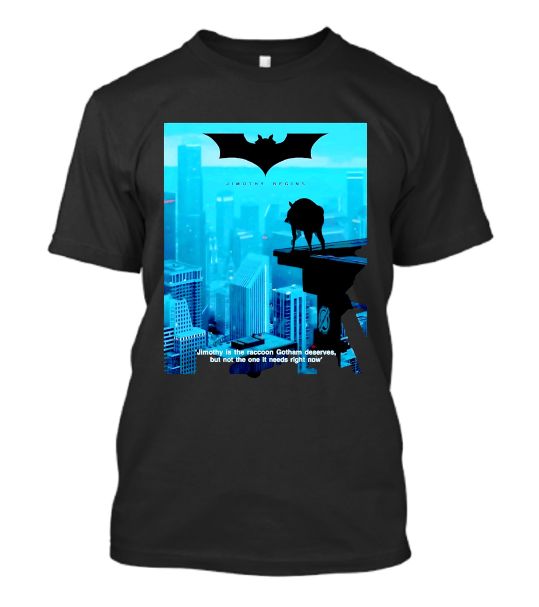 Jimothy Begins Raccoon Gotham Deserves Not Needs Right Now T-Shirt