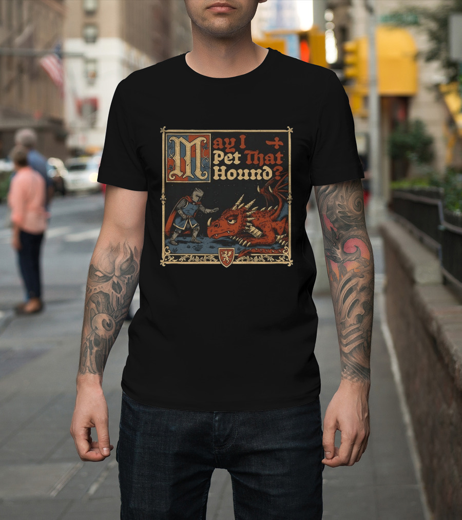 May I Pet That Hound Medieval Knight And Dragon Meme T-Shirt
